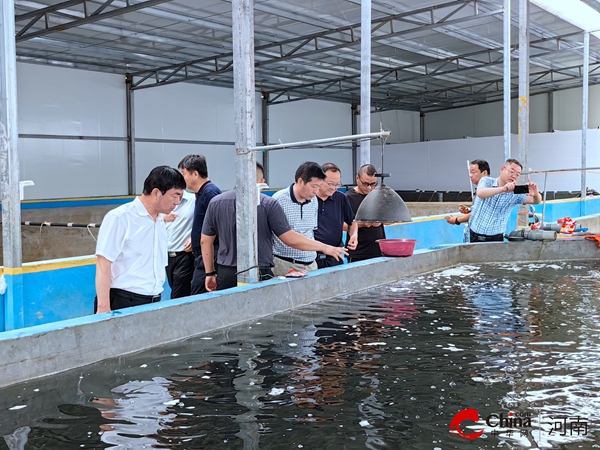 深化技术交流，共促产业发展 南阳市鸭河口水库管理局赴西平县考察设施渔业及加州鲈鱼产业