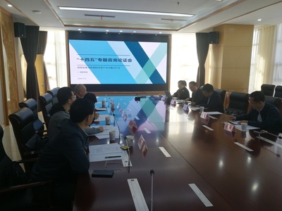 湖南省“十四五”科技创新规划前期研究专家咨询会成功举办，聚焦技术咨询与交流