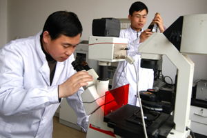 大庆勘探开发研究中的技术咨询与技术交流机制探析